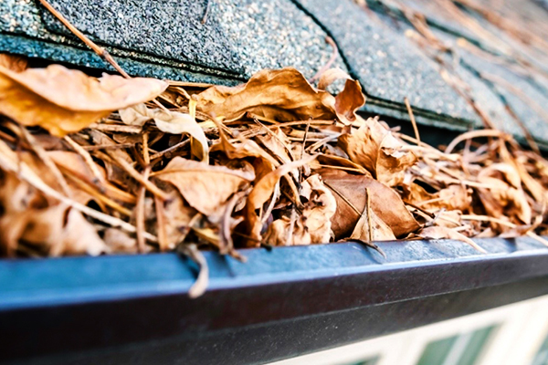 Gutter Cleaning