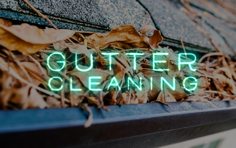 Gutter Cleaning